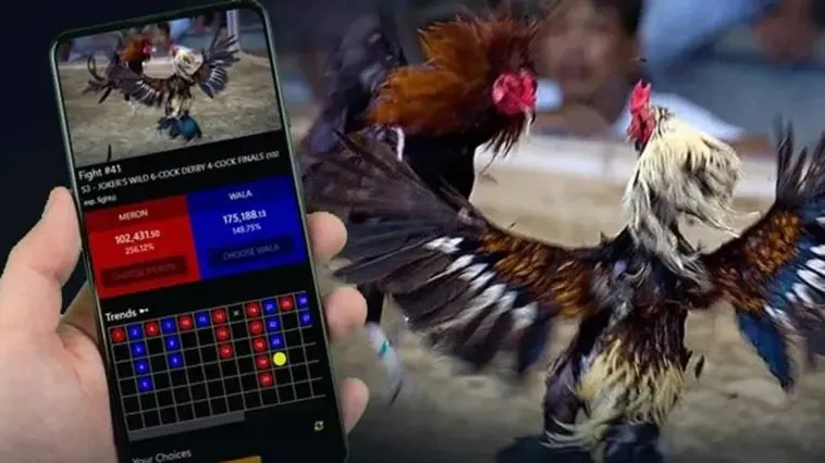 Trải Nghiệm Cá Cược Đá Gà W388 Đỉnh Cao Thỏa Mãn Đam Mê Kê Thủ